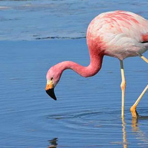 Avatar d'un client qui a laissé un avis